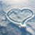 Ann Sasse Tursic's profile image