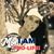 Laura Ann Cappetto Moss's profile image