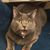 Jessie Ann Eslam's profile image