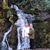 Gail Farris Brannon's profile image