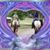 Betty K Mitcham's profile image
