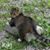 Linda Bramer Stout's profile image