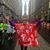 Gina Bearns Koehler's profile image