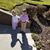 Jason Spivey's profile image