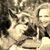 Suzanne Andrews-Smith's profile image