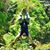 Lisa Los Gifford's profile image