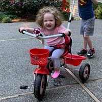Lauren Allie Atneosen's profile image