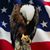 Greg Lenway's profile image