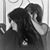 Michelle Kihega's profile image