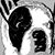 Hiro Kurashima's profile image
