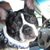 Burton Jamison's profile image