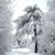 Angela Schwindler's profile image