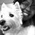 Kanisha Howard's profile image