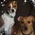 Chantel Guiter's profile image