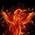 Andrea Howe's profile image