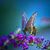 Pamela Johnson's profile image