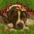 Sherrylee Best's profile image
