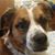 Rene Brady Huffman's profile image