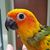 Carla Treece Jackson's profile image