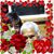 Maria Alcaraz's profile image