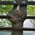 Christi M. Wheeler Buchanek's profile image