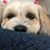 Terry Berry's profile image