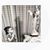 Rosa Chacon's profile image