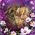 Juana Leon's profile image