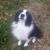 Jodey Sater-Hall's profile image
