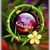 Karen Snow's profile image