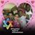 Shanna Jackson-Bradley's profile image