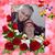 Gale Albright's profile image