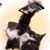 Ging Ang's profile image