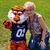 Carol Spivey Nelson's profile image