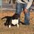 Artez Anonbullies Dixon's profile image