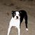 LaDelle Craig's profile image