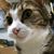 Amy Rust's profile image