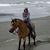 Tammy Smith's profile image