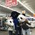 Treveh Arevir's profile image