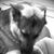 David Ramos's profile image