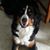 Marianne B Mitchell's profile image