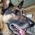 Arthur Scherer's profile image