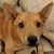 Susan Warner Balla's profile image