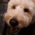 Raymond Toohey's profile image