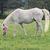 Edna Reinard's profile image