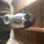 John Gutierrez's profile image