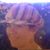 Heidi Huckabee's profile image