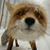 Melinda Karey's profile image