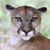 Judy Taylor's profile image