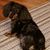 Diane Lavalle Crean's profile image